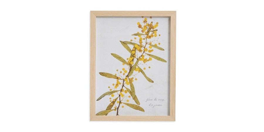 Home Decor Bassett | Golden Rod Branch