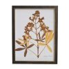 Home Decor Bassett | Sepia Holly Hock Buds