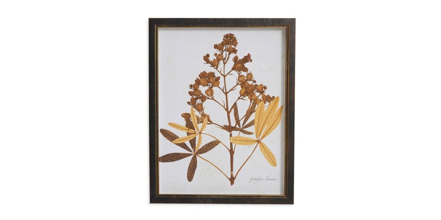 Home Decor Bassett | Sepia Holly Hock Buds