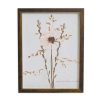 Home Decor Bassett | Sepia Pressed Wildflower I