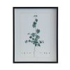 Home Decor Bassett | Botanical 243I