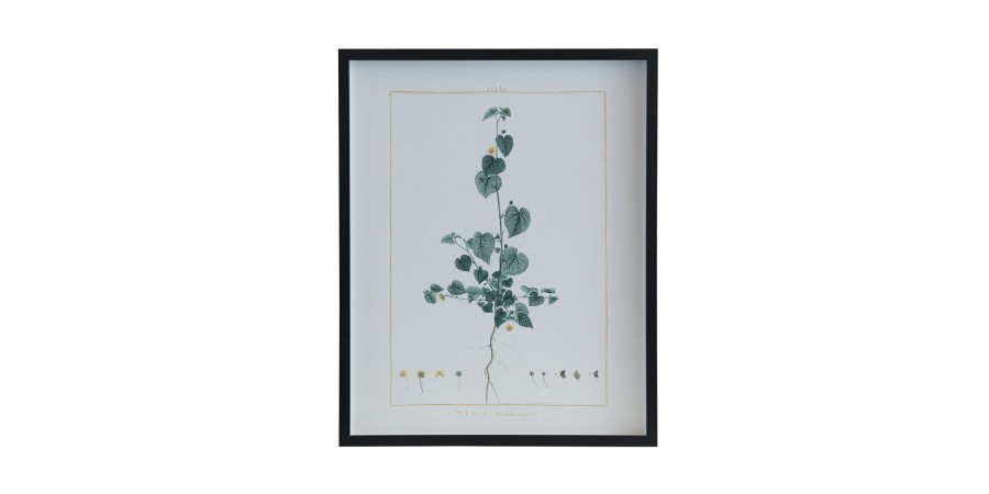 Home Decor Bassett | Botanical 243I