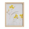 Home Decor Bassett | Pressed Yellow Violets