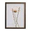 Home Decor Bassett | Sepia Pressed Wildflower Ii