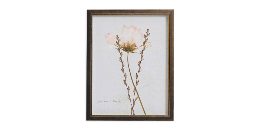 Home Decor Bassett | Sepia Pressed Wildflower Ii