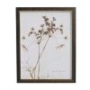 Home Decor Bassett | Sepia Queen Anne'S Lace