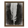 Home Decor Bassett | Inverted Feather Iv