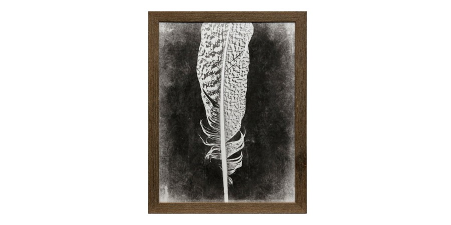 Home Decor Bassett | Inverted Feather Iv