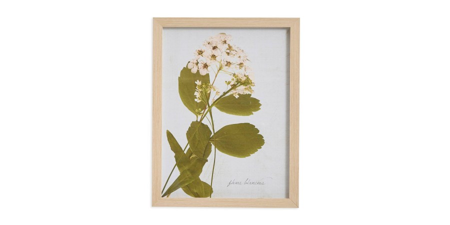 Home Decor Bassett | Pear Tree Blossom