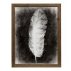 Home Decor Bassett | Inverted Feather Vi