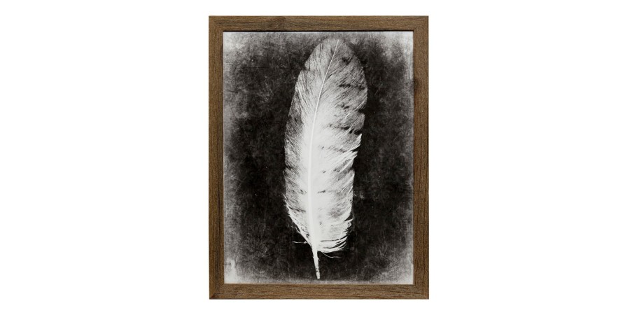 Home Decor Bassett | Inverted Feather Vi