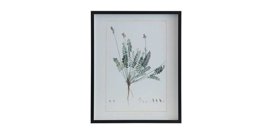 Home Decor Bassett | Botanical 243B