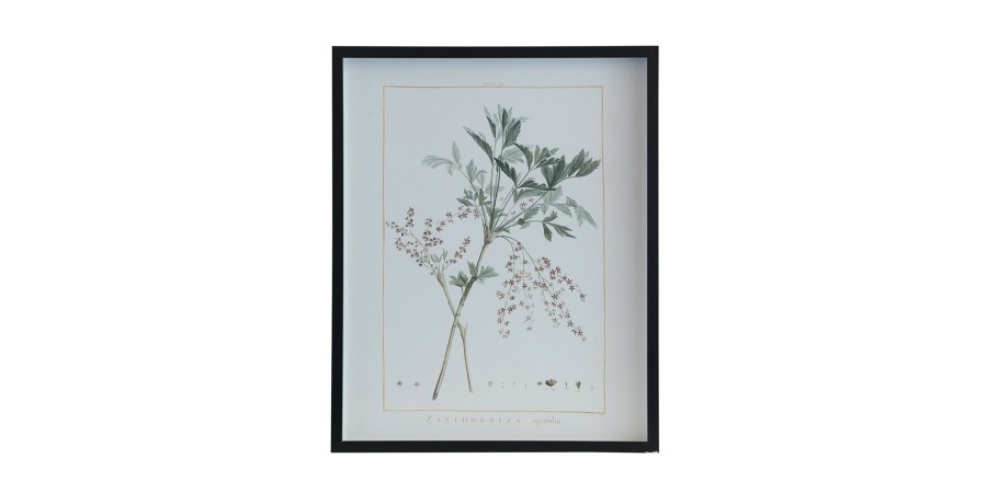 Home Decor Bassett | Botanical 243J