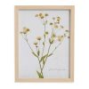 Home Decor Bassett | Pressed Daisies