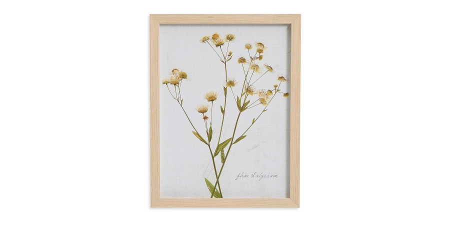 Home Decor Bassett | Pressed Daisies