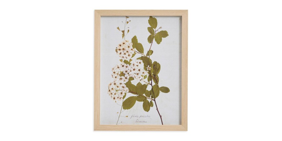 Home Decor Bassett | Pear Tree Branch